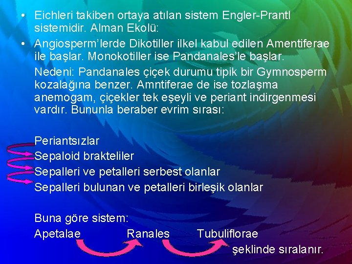  • Eichleri takiben ortaya atılan sistem Engler-Prantl sistemidir. Alman Ekolü: • Angiosperm’lerde Dikotiller