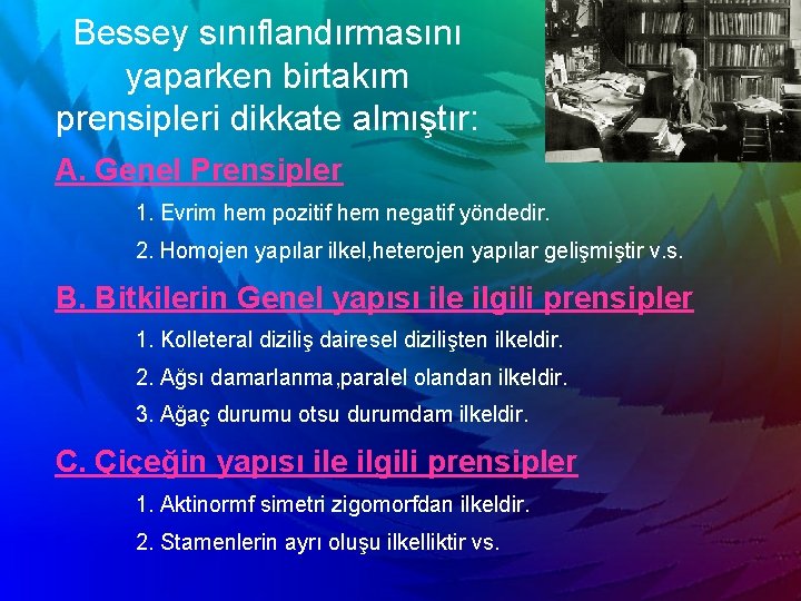 Bessey sınıflandırmasını yaparken birtakım prensipleri dikkate almıştır: A. Genel Prensipler 1. Evrim hem pozitif