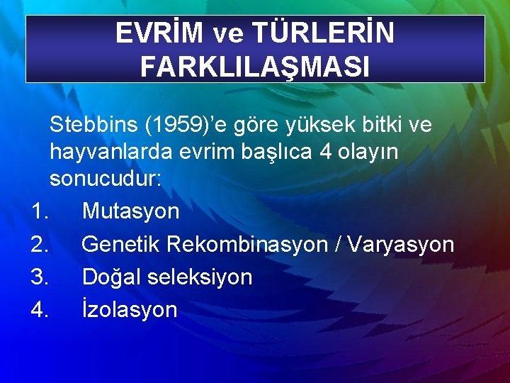 EVRİM ve TÜRLERİN FARKLILAŞMASI Stebbins (1959)’e göre yüksek bitki ve hayvanlarda evrim başlıca 4