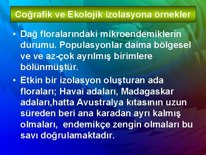 Coğrafik ve Ekolojik izolasyona örnekler • Dağ floralarındaki mikroendemiklerin durumu. Populasyonlar daima bölgesel ve