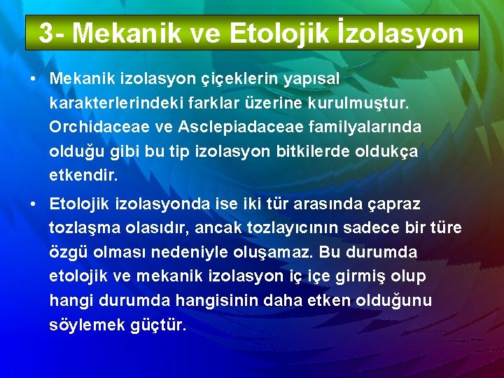 3 - Mekanik ve Etolojik İzolasyon • Mekanik izolasyon çiçeklerin yapısal karakterlerindeki farklar üzerine