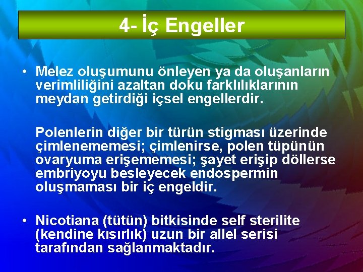 4 - İç Engeller • Melez oluşumunu önleyen ya da oluşanların verimliliğini azaltan doku