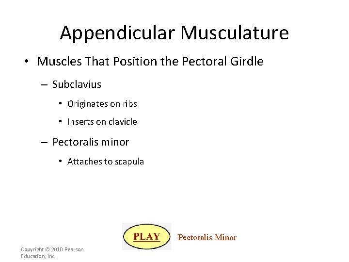 Appendicular Musculature • Muscles That Position the Pectoral Girdle – Subclavius • Originates on