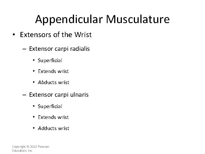 Appendicular Musculature • Extensors of the Wrist – Extensor carpi radialis • Superficial •