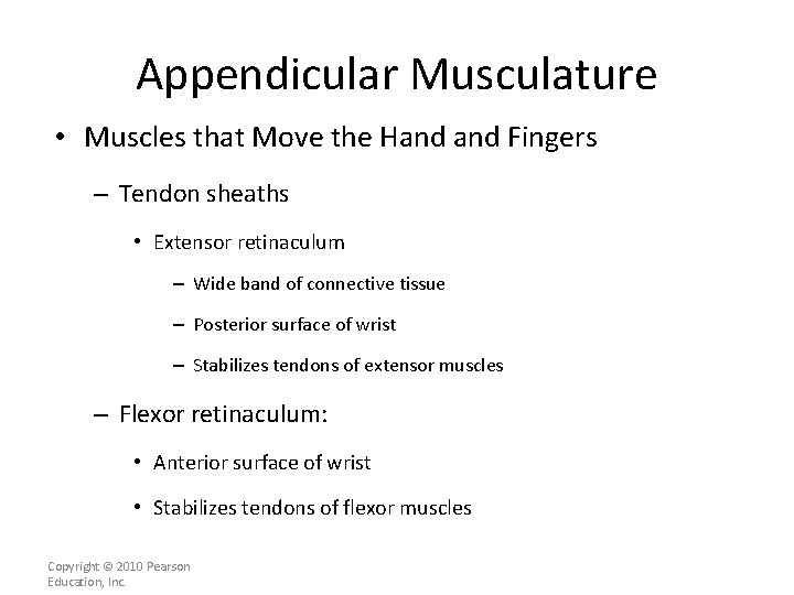 Appendicular Musculature • Muscles that Move the Hand Fingers – Tendon sheaths • Extensor