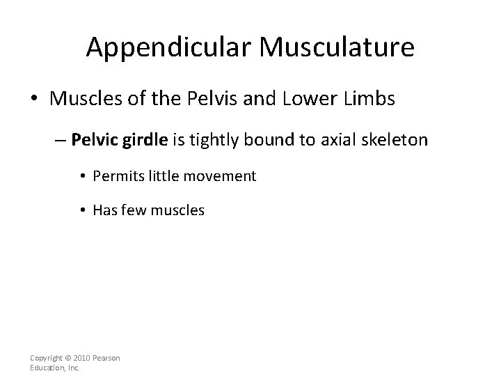 Appendicular Musculature • Muscles of the Pelvis and Lower Limbs – Pelvic girdle is