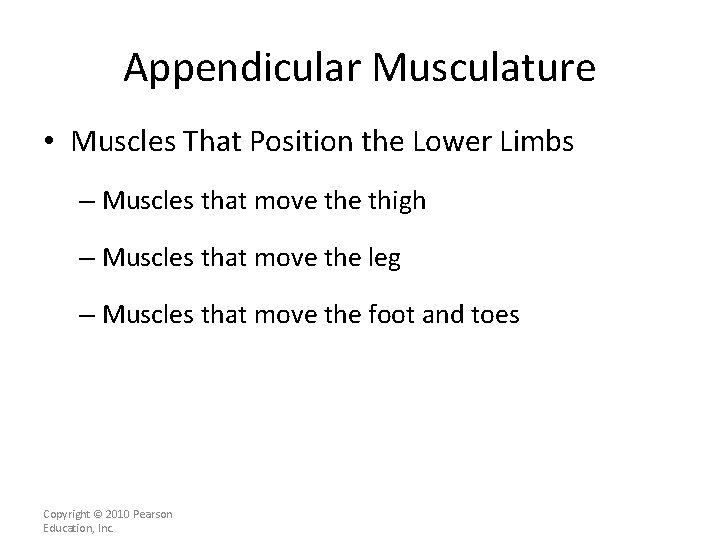 Appendicular Musculature • Muscles That Position the Lower Limbs – Muscles that move thigh