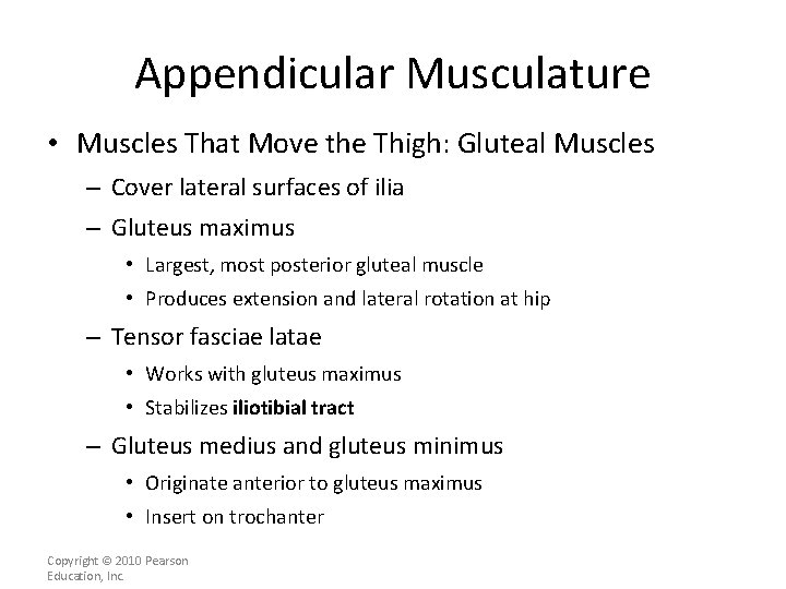 Appendicular Musculature • Muscles That Move the Thigh: Gluteal Muscles – Cover lateral surfaces