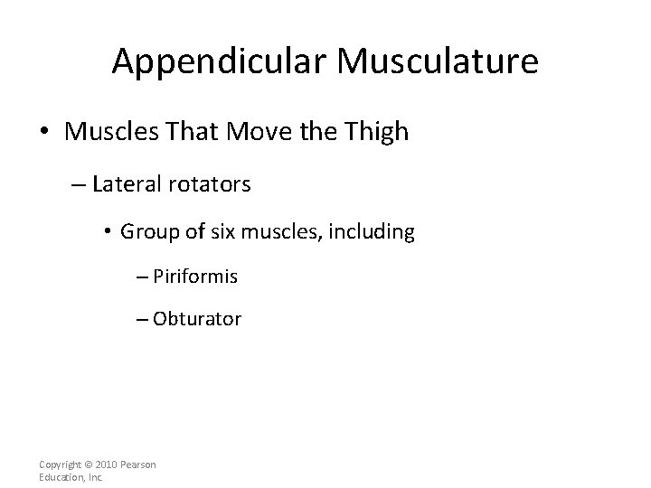 Appendicular Musculature • Muscles That Move the Thigh – Lateral rotators • Group of