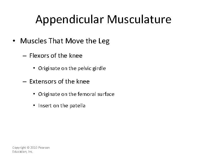 Appendicular Musculature • Muscles That Move the Leg – Flexors of the knee •