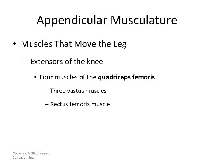 Appendicular Musculature • Muscles That Move the Leg – Extensors of the knee •