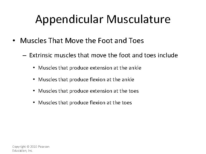 Appendicular Musculature • Muscles That Move the Foot and Toes – Extrinsic muscles that