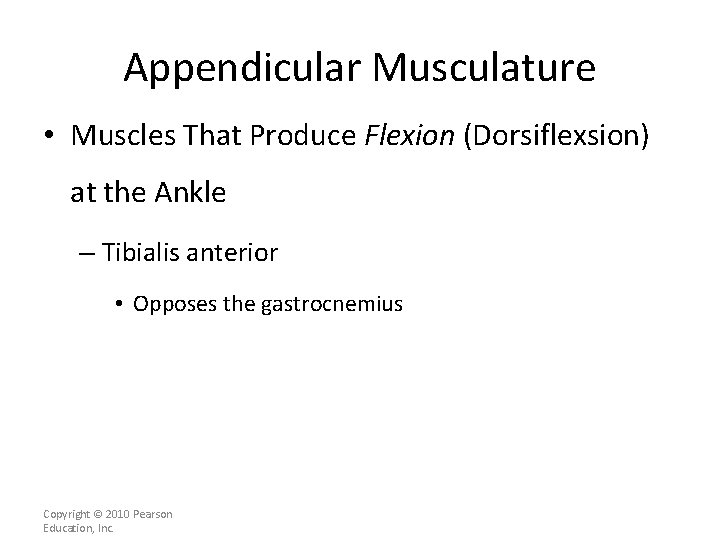 Appendicular Musculature • Muscles That Produce Flexion (Dorsiflexsion) at the Ankle – Tibialis anterior