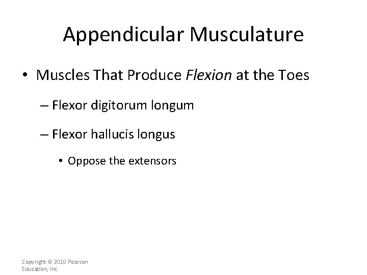 Appendicular Musculature • Muscles That Produce Flexion at the Toes – Flexor digitorum longum