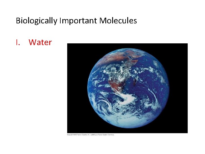 Biologically Important Molecules I. Water 