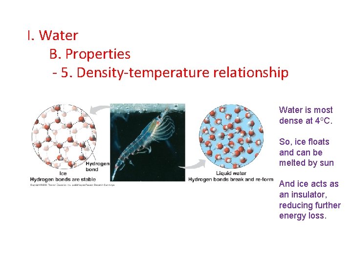 I. Water B. Properties - 5. Density-temperature relationship Water is most dense at 4