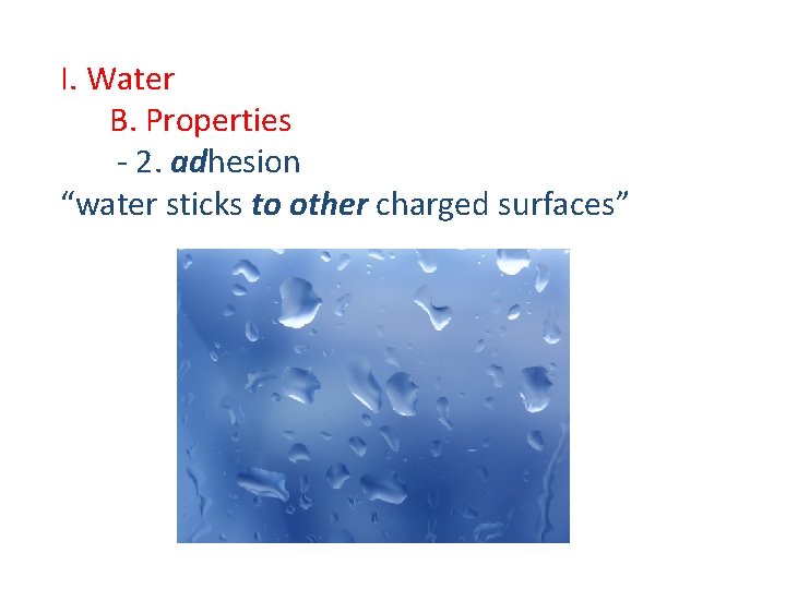I. Water B. Properties - 2. adhesion “water sticks to other charged surfaces” 