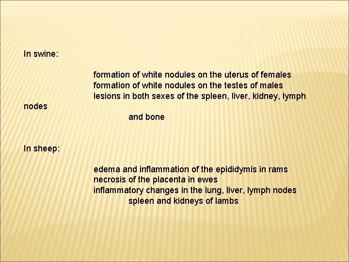 In swine: formation of white nodules on the uterus of females formation of white