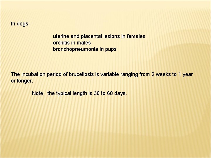 In dogs: uterine and placental lesions in females orchitis in males bronchopneumonia in pups