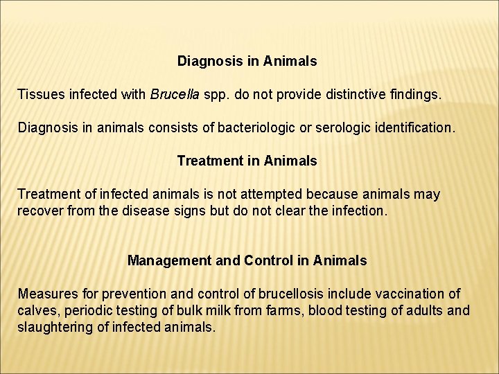 Diagnosis in Animals Tissues infected with Brucella spp. do not provide distinctive findings. Diagnosis