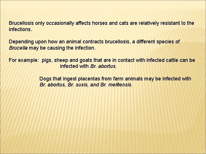 Brucellosis only occasionally affects horses and cats are relatively resistant to the infections. Depending