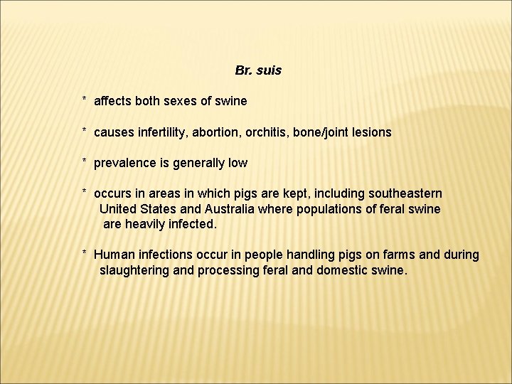 Br. suis * affects both sexes of swine * causes infertility, abortion, orchitis, bone/joint