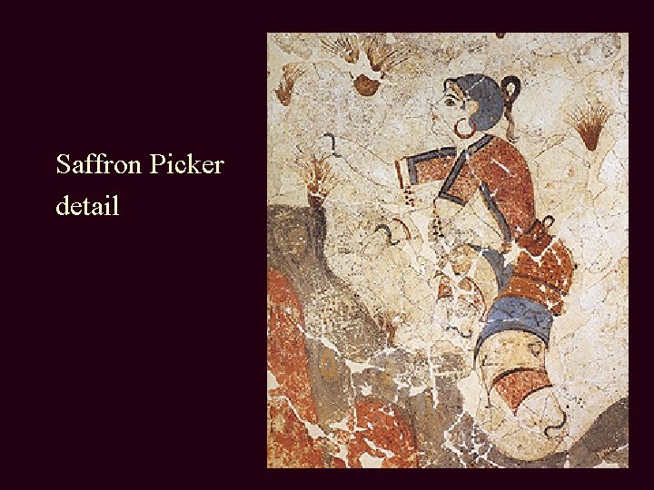 Saffron Picker detail 