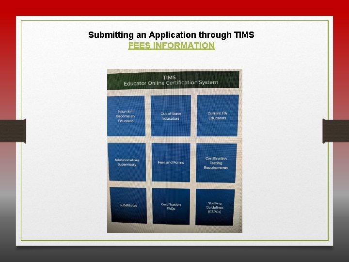 Submitting an Application through TIMS FEES INFORMATION 