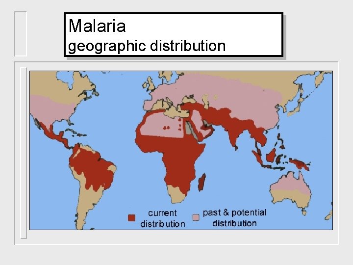 Malaria geographic distribution 