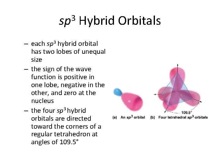 sp 3 Hybrid Orbitals – each sp 3 hybrid orbital has two lobes of