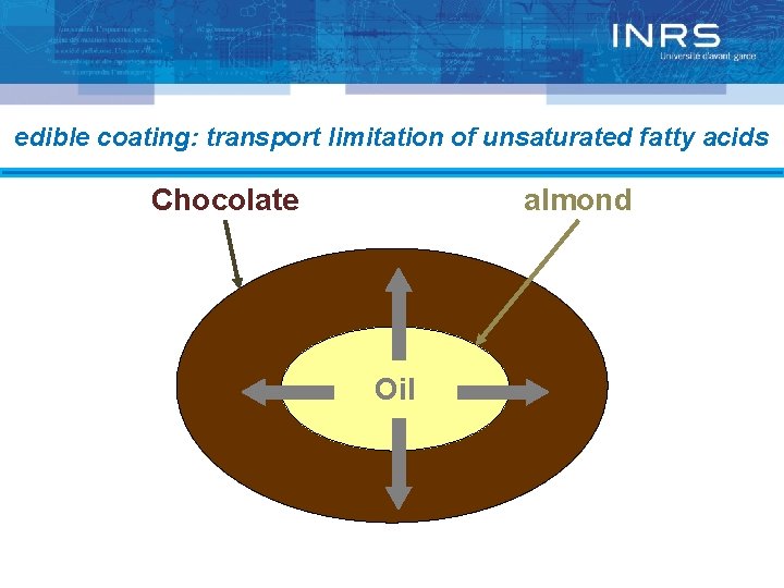 edible coating: transport limitation of unsaturated fatty acids Chocolate almond Oil 