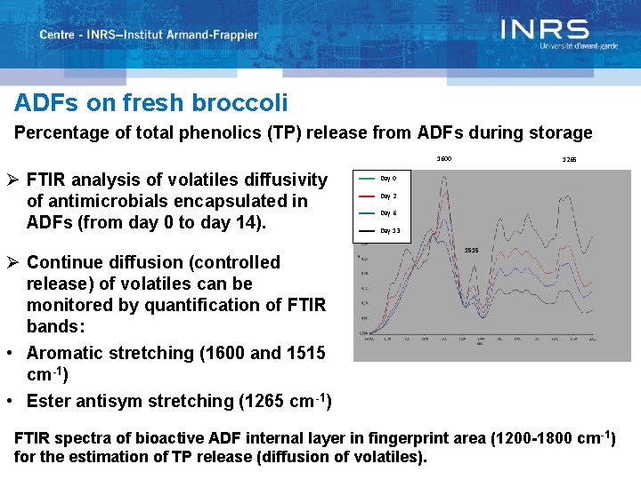 ADFs on fresh broccoli Percentage of total phenolics (TP) release from ADFs during storage