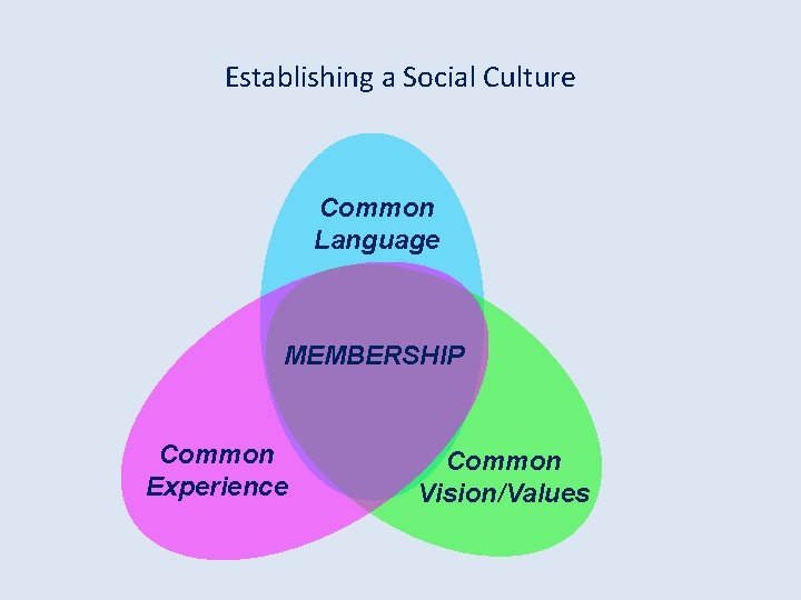 Establishing a Social Culture Common Language MEMBERSHIP Common Experience Common Vision/Values 