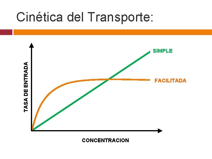 Cinética del Transporte: TASA DE ENTRADA SIMPLE FACILITADA CONCENTRACION 