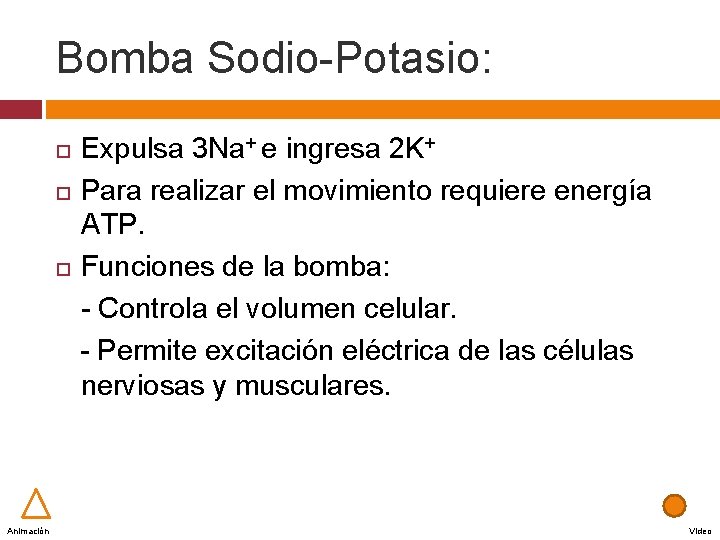 Bomba Sodio-Potasio: Expulsa 3 Na+ e ingresa 2 K+ Para realizar el movimiento requiere