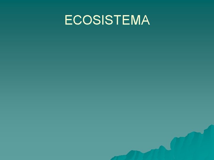 ECOSISTEMA 