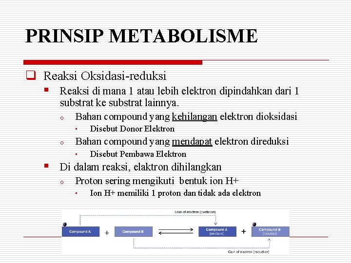 PRINSIP METABOLISME q Reaksi Oksidasi-reduksi § Reaksi di mana 1 atau lebih elektron dipindahkan