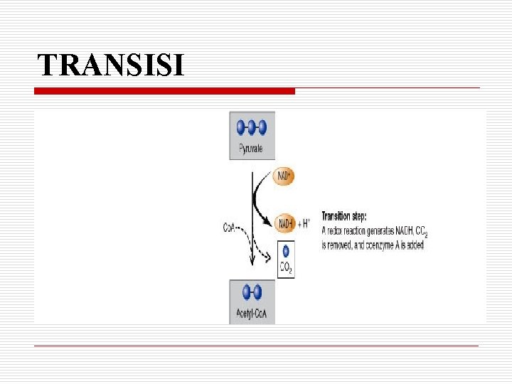 TRANSISI 