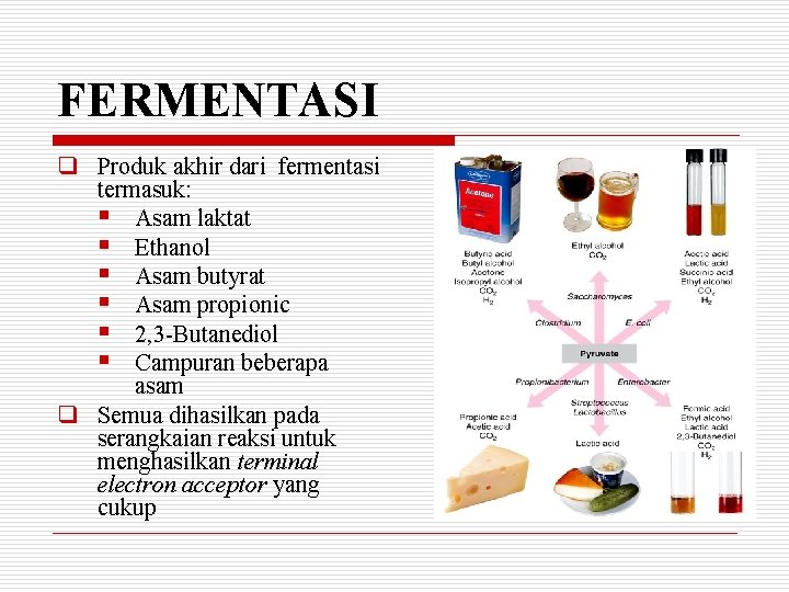 FERMENTASI q Produk akhir dari fermentasi termasuk: § Asam laktat § Ethanol § Asam