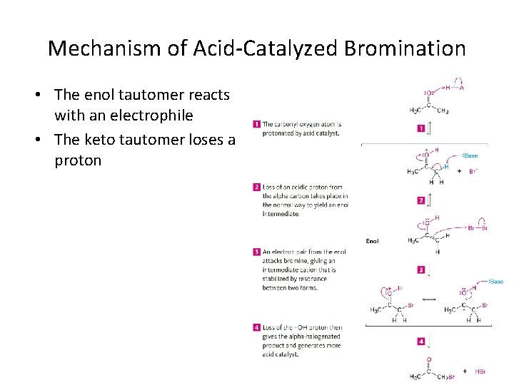 Mechanism of Acid-Catalyzed Bromination • The enol tautomer reacts with an electrophile • The
