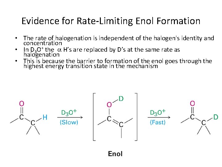 Evidence for Rate-Limiting Enol Formation • The rate of halogenation is independent of the