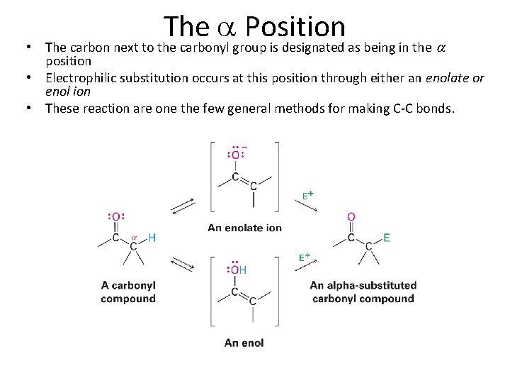  • The Position The carbon next to the carbonyl group is designated as