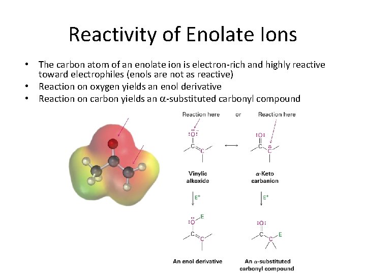 Reactivity of Enolate Ions • The carbon atom of an enolate ion is electron-rich