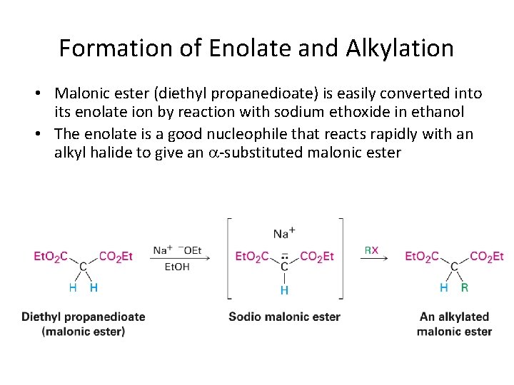 Formation of Enolate and Alkylation • Malonic ester (diethyl propanedioate) is easily converted into