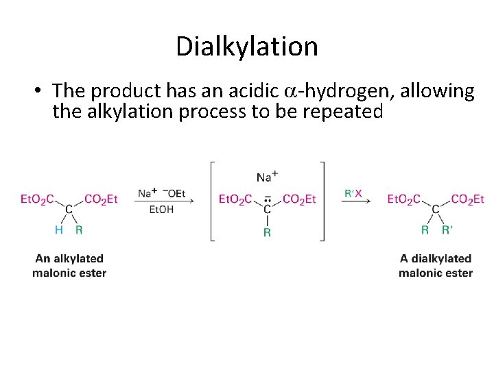 Dialkylation • The product has an acidic -hydrogen, allowing the alkylation process to be