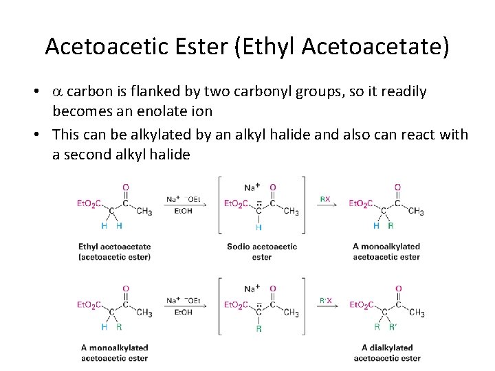 Acetoacetic Ester (Ethyl Acetoacetate) • carbon is flanked by two carbonyl groups, so it
