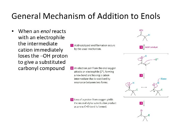 General Mechanism of Addition to Enols • When an enol reacts with an electrophile