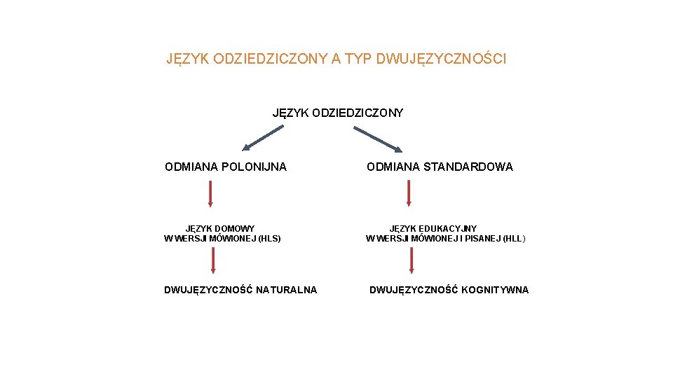 JĘZYK ODZIEDZICZONY A TYP DWUJĘZYCZNOŚCI JĘZYK ODZIEDZICZONY ODMIANA POLONIJNA ODMIANA STANDARDOWA JĘZYK DOMOWY W