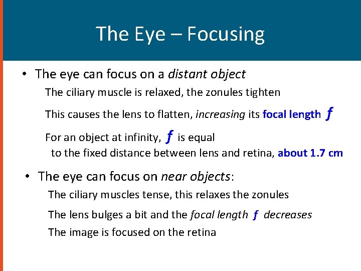 The Eye – Focusing • The eye can focus on a distant object The