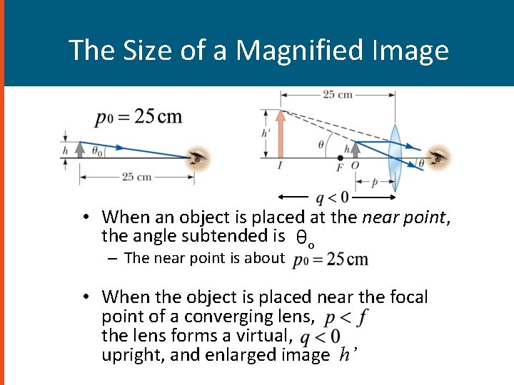 The Size of a Magnified Image • When an object is placed at the